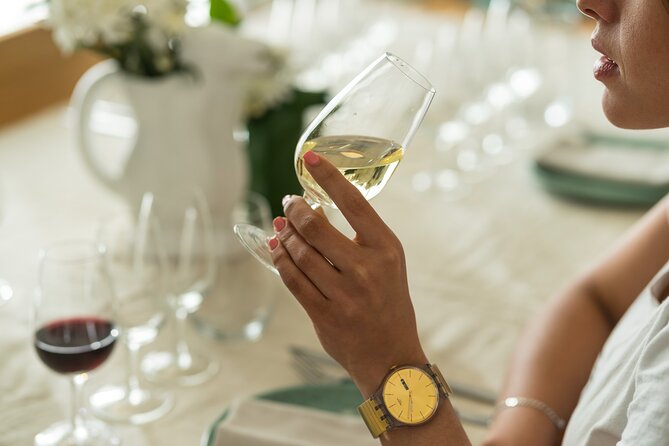 Discover Argentine Wines Paired with Delicious Tapas - The wine route, from Argentina’s dry north to Patagonia