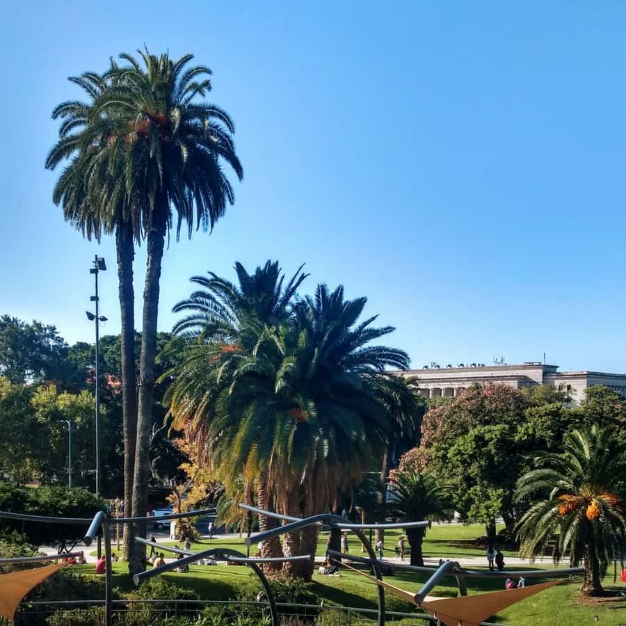 Discover Recoleta, Buenos Aires' Little Paris - Walking Alvear Avenue to the French Embassy