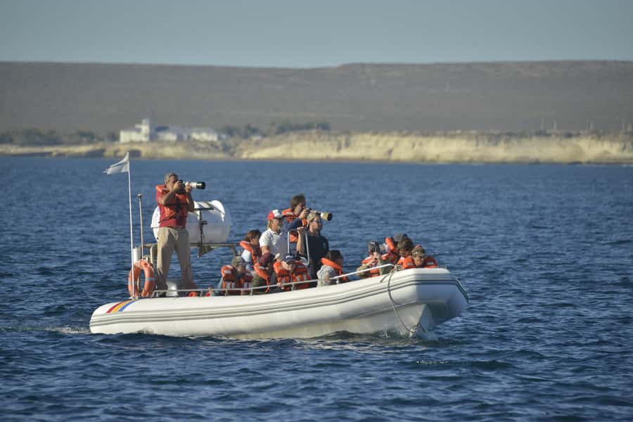 Dolphin Watching Adventure - Who Will Get the Most From This Boat Trip