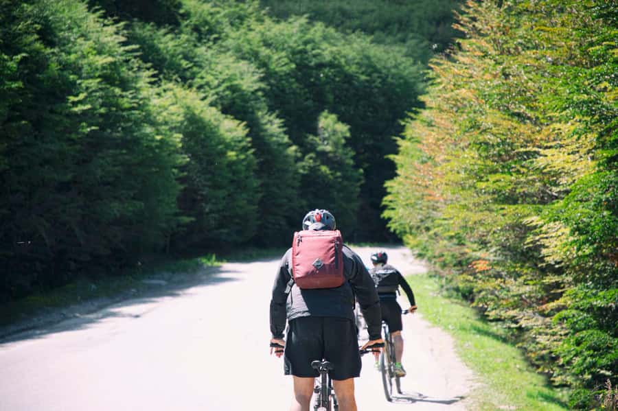 E-BIKE Beagle Viewpoint - Following Buena Esperanza stream into the forest