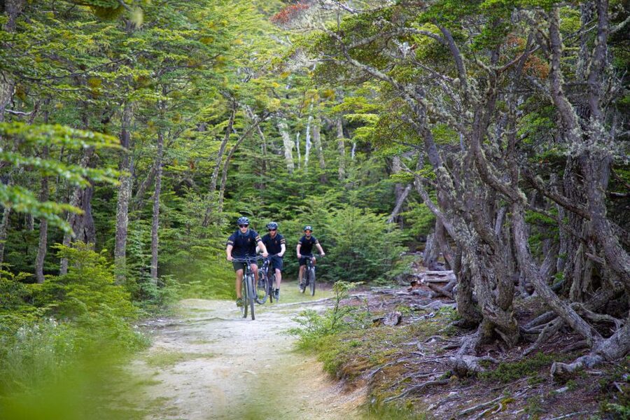 E-BIKE Beagle Viewpoint - Who will enjoy this ride most