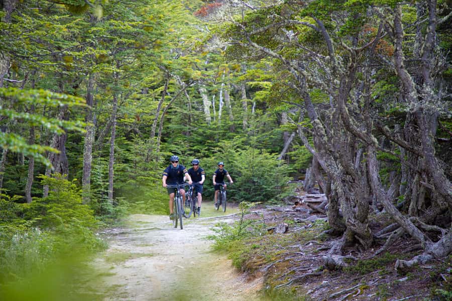 E-BIKE Beagle Viewpoint - My verdict on the guide and group size
