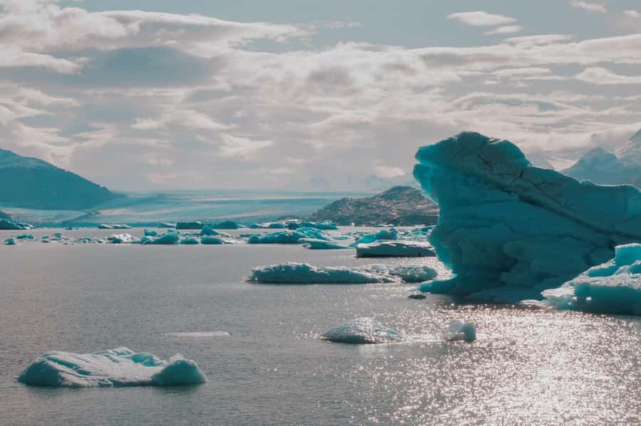 El Calafate: Gourmet Navigation Upsala & Spegazzini Glaciers - My call: a strong choice for glacier variety