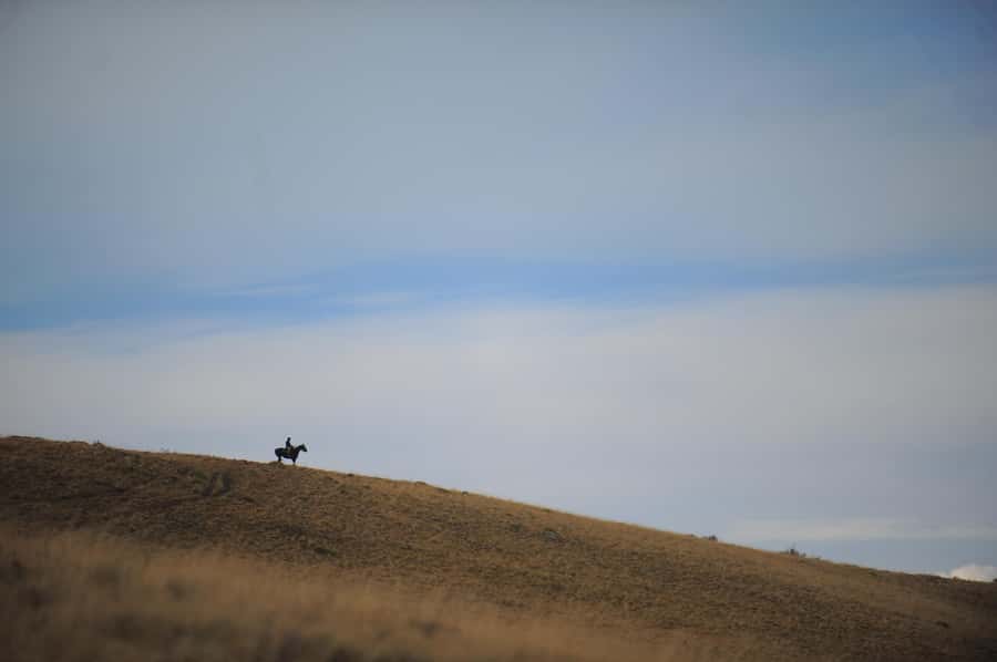 El Calafate: Horseback riding in Cerro Frias - Who Will Enjoy This Ride Most
