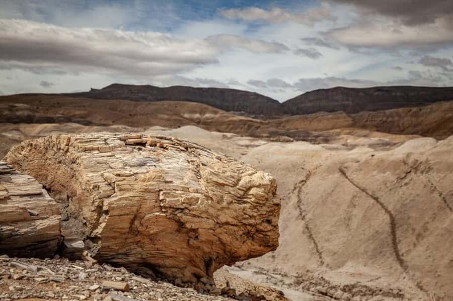 El Calafate: Kayak and Hike La Leona River Tour - Why La Leona River is worth seeing by kayak