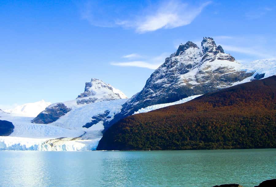El Calafate: Lake Argentino Upsala Channel Glaciers Cruise - Who will enjoy this cruise most