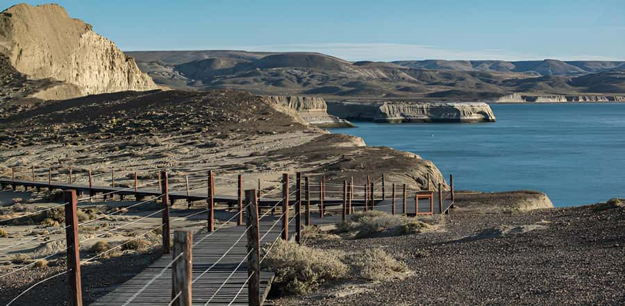 El Calafate: Monte León 4x4 Wolves and Penguins Excursion - The real appeal of Monte León