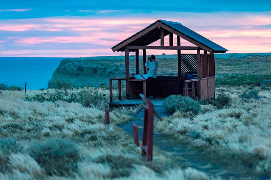 El Calafate: Monte León 4x4 Wolves and Penguins Excursion - Watching for wildlife on Route 9