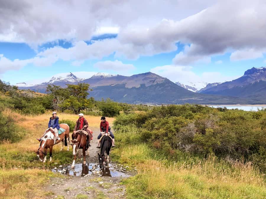 El Calafate: Nibepo Aike Ranch with Horseback Riding - The road from El Calafate to the Path of the Estancias