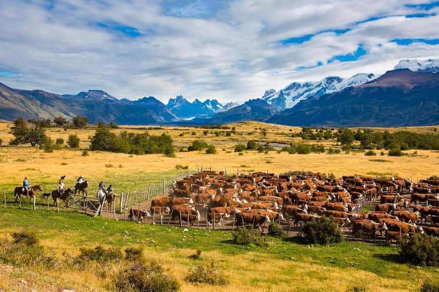 El Calafate: Nibepo Aike Ranch with Horseback Riding - What the gaucho side of Patagonia really means