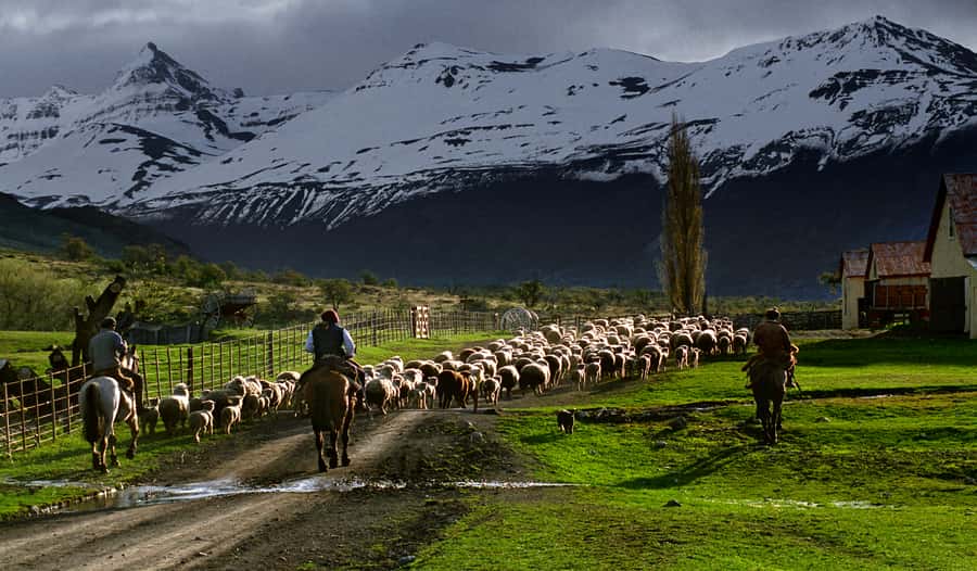 El Calafate: Nibepo Aike Ranch with Horseback Riding - The shearing shed and historical museum