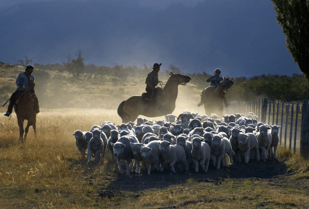 El Calafate: Nibepo Aike Ranch with Horseback Riding - Patagonian lamb asado in the Quincho