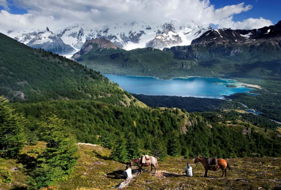El Calafate: Nibepo Aike Ranch with Horseback Riding - Timing, pickup, and the seasonal window