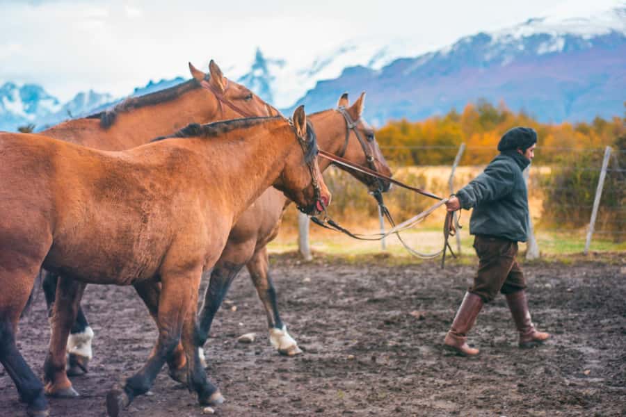 El Calafate: Nibepo Aike Ranch with Horseback Riding - First arrival at Nibepo Aike Ranch