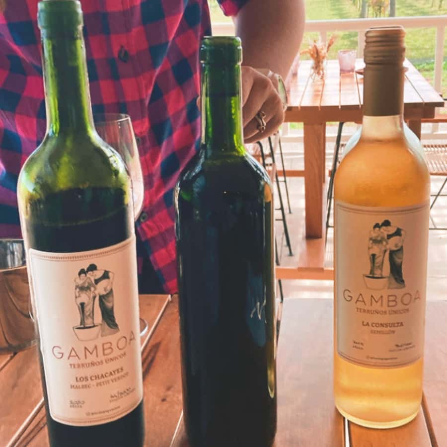 Enjoy a Rural Experience in a Vineyard near Buenos Aires - Key points to know before booking