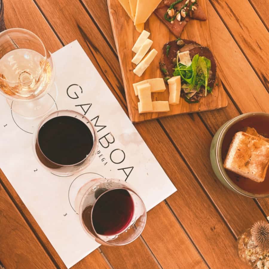 Enjoy a Rural Experience in a Vineyard near Buenos Aires - Wine tasting with food pairings