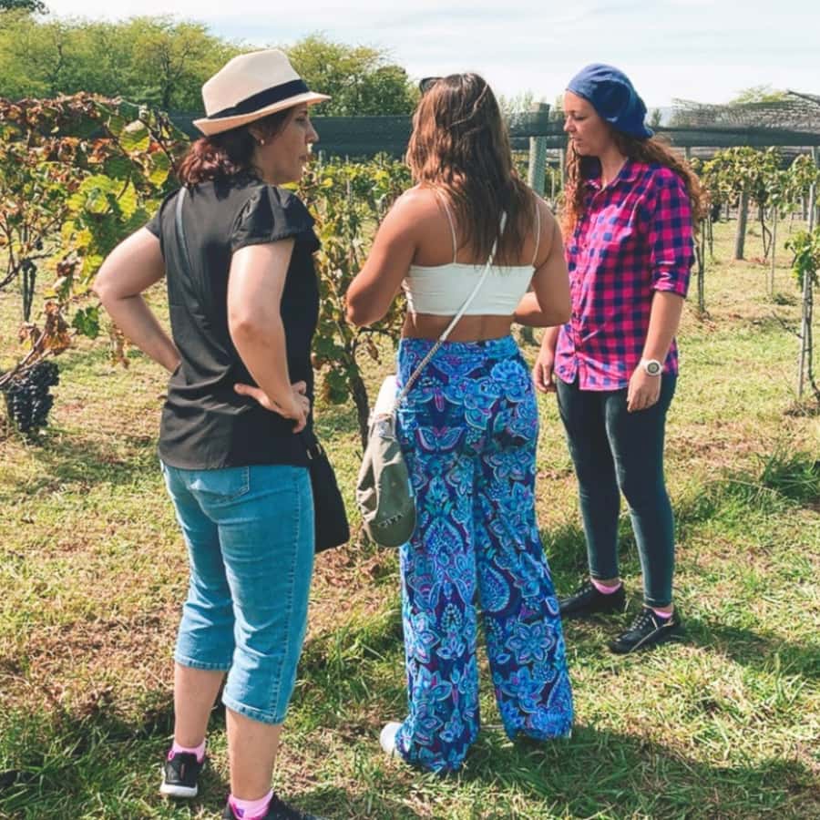 Enjoy a Rural Experience in a Vineyard near Buenos Aires - Lunch in the countryside