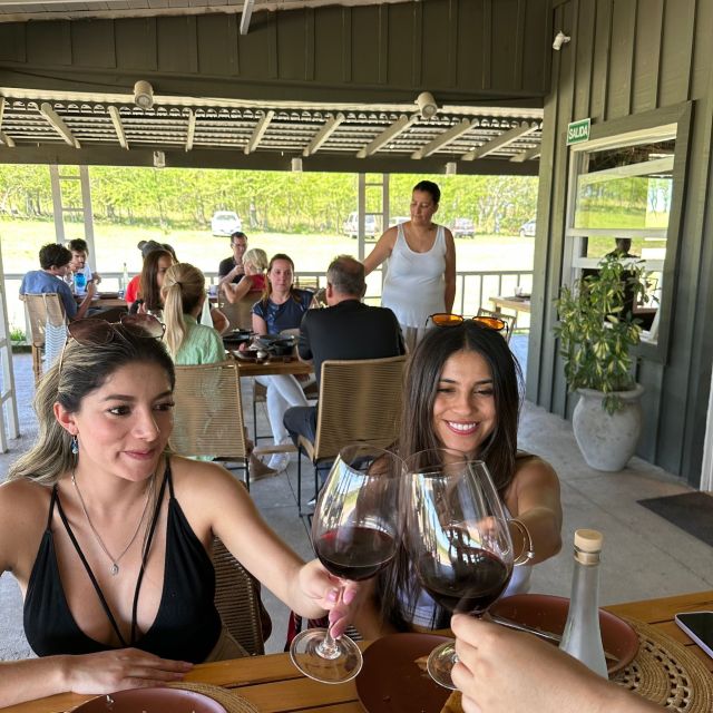 Enjoy a Rural Experience in a Vineyard near Buenos Aires - Timing, cancellations, and booking details