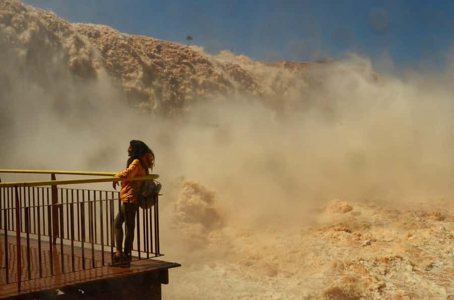 Foz do Iguaçu: Brazil/Argentina Sides Iguazu Falls Day Tour - Border crossings and the value of a guide