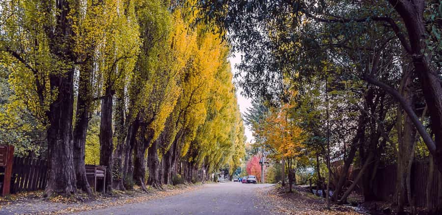 From Bariloche: Chico Circuit & Colonia Suiza Tour - What the guide and driver add