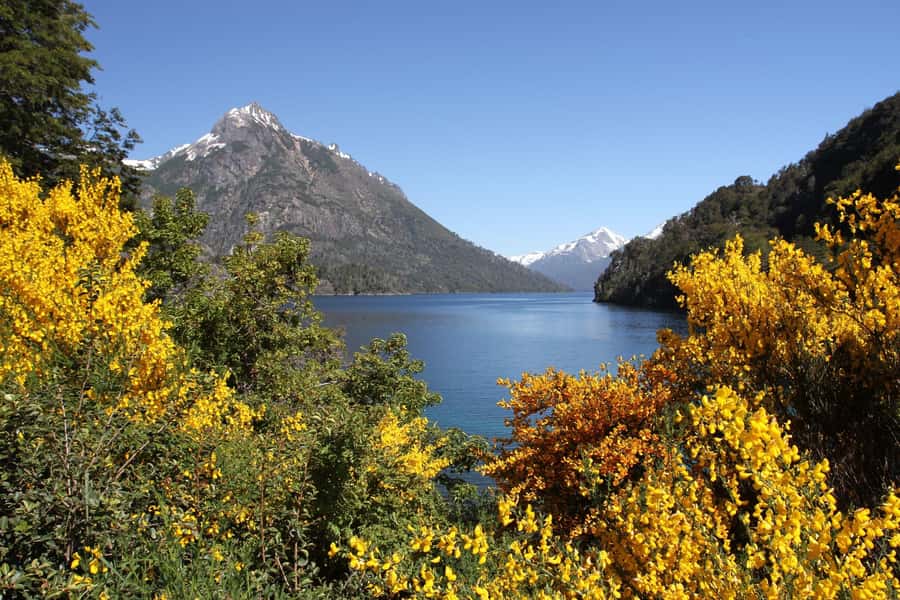 From Bariloche: Half-Day Circuito Chico Sightseeing Tour - The Panoramic Point over Moreno Lake