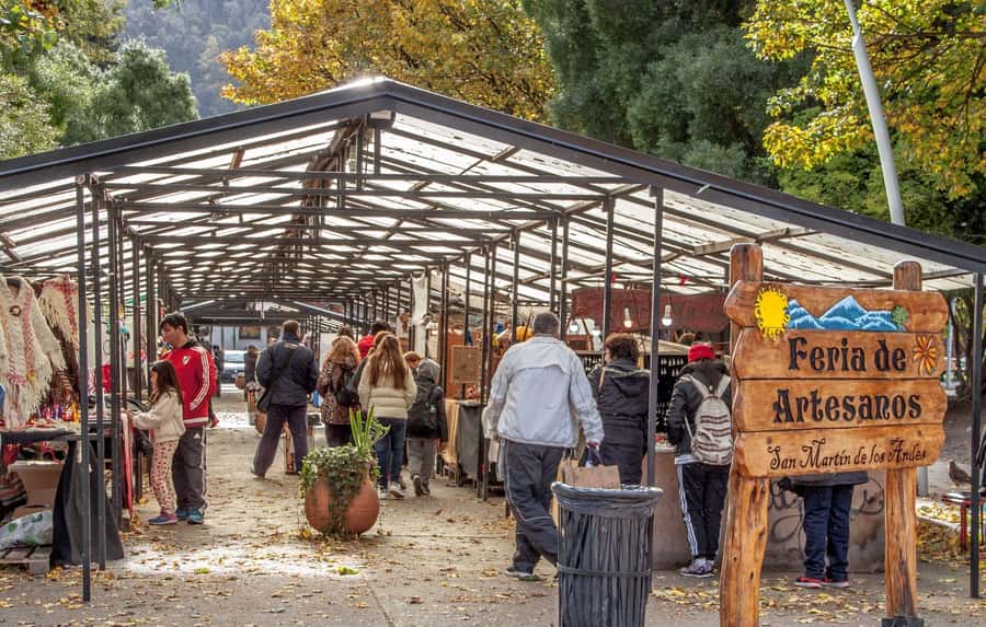 From Bariloche: San Martin de los Andes and 7 Lakes Circuit - Group size, comfort, and the rhythm of the day