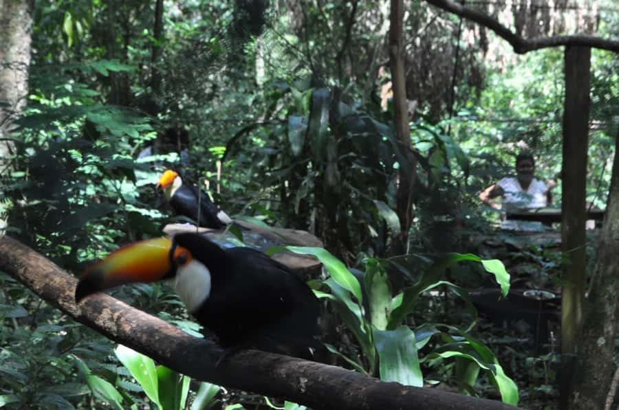 From Buenos Aires: 3-Day Iguazu Falls Tour with Airfare - Your two nights at a four-star hotel