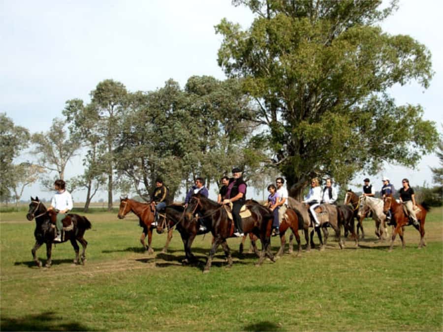 From Buenos Aires: Estancia Don Silvano Tour with Lunch. - Key points to know before booking