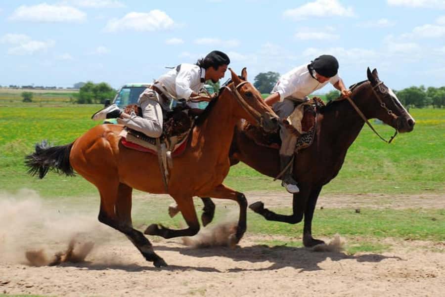 From Buenos Aires: Estancia Don Silvano Tour with Lunch. - Leaving Buenos Aires for the pampas