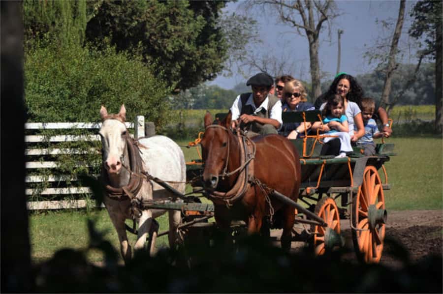 From Buenos Aires: Estancia Don Silvano Tour with Lunch. - Arrival with empanadas and a drink