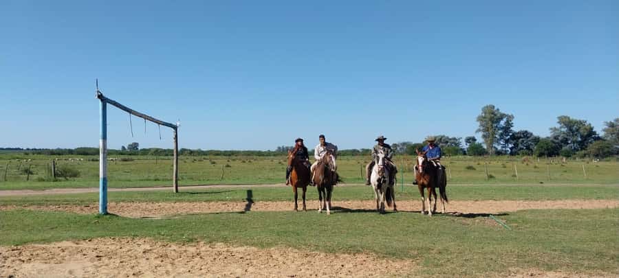 From Buenos Aires: Estancia Don Silvano Tour with Lunch. - Guides, transport, and the human side