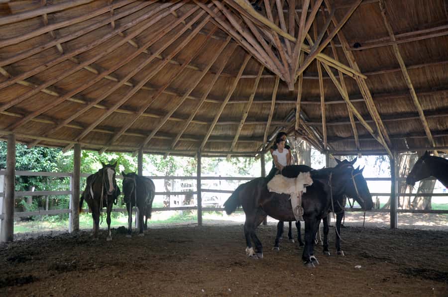 From Buenos Aires: Estancia Don Silvano Tour with Lunch. - Is $165 a fair price?
