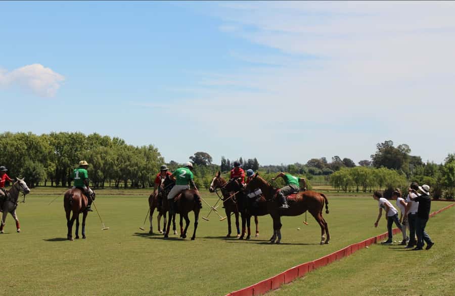 From Buenos Aires: Polo Match, Lesson, and BBQ Day-Trip - Key points to know before booking