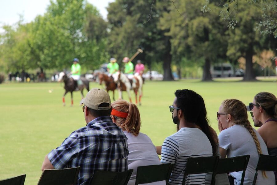 From Buenos Aires: Polo Match, Lesson, and BBQ Day-Trip - Who will get the most from this $295 experience