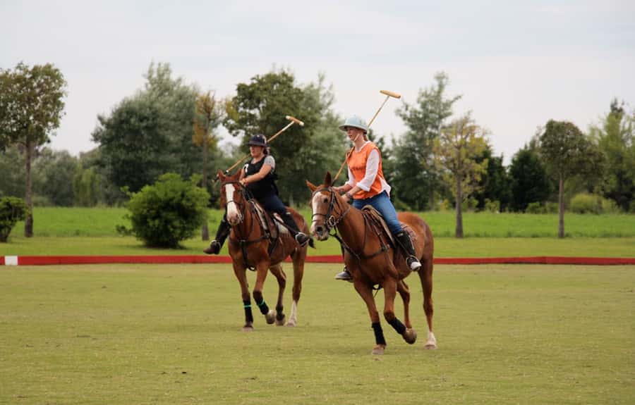 From Buenos Aires: Polo Match, Lesson, and BBQ Day-Trip - Empanadas, wine, and your first look at Argentine polo