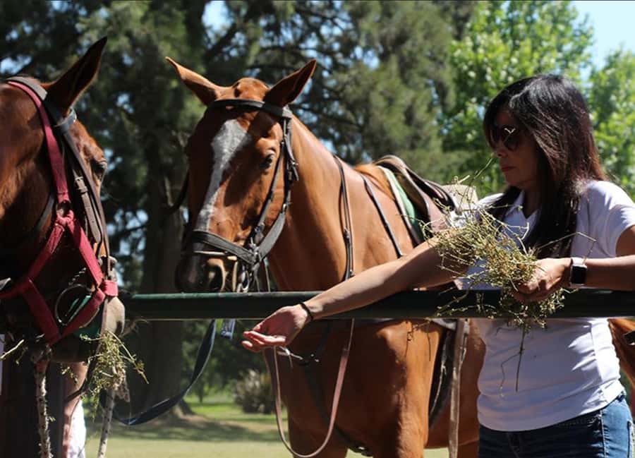 From Buenos Aires: Polo Match, Lesson, and BBQ Day-Trip - The drive from Buenos Aires to the estancia