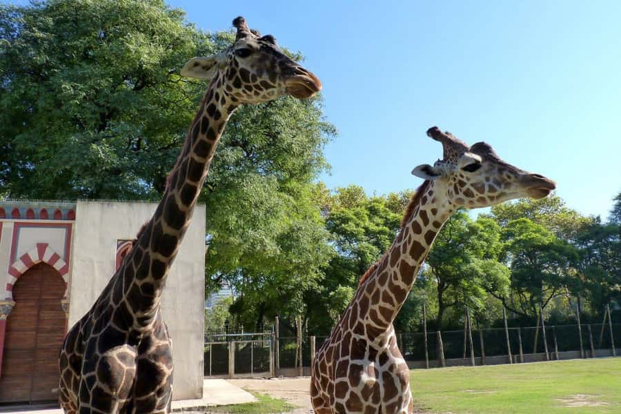 From Buenos Aires: Temaiken Zoo Tour with Ticket Included - The aquarium’s three Argentine water worlds
