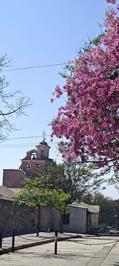From Cordoba: Alta Gracia HalfDay Tour - Hotel Sierras and the Gabriel Dubois Museum