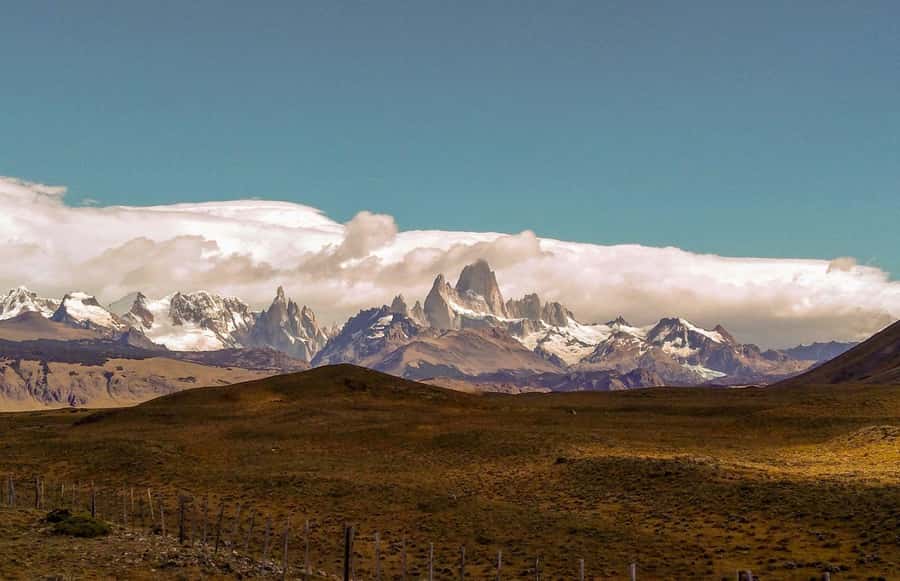 From El Calafate: El Chalten Full-Day Tour and Short Hike - Guides, drivers, and the group experience