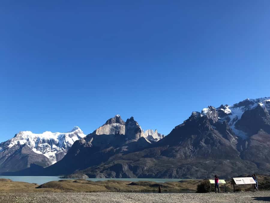 From El Calafate: Torres del Paine Full Day Tour - Almirante Nieto, the Cuernos, and Laguna Amarga