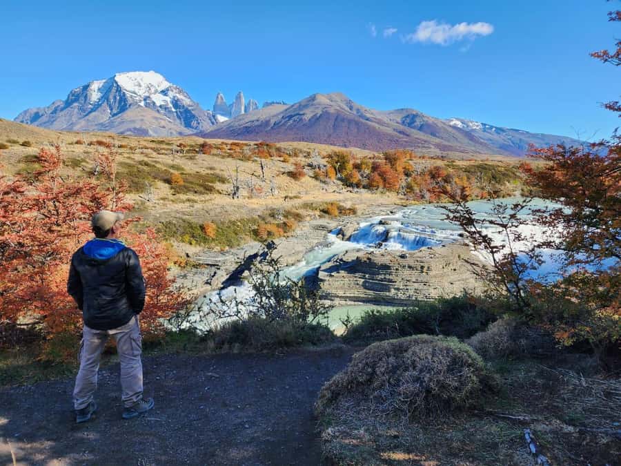 From El Calafate: Torres del Paine Full Day Tour - Wildlife, weather, and what you might see