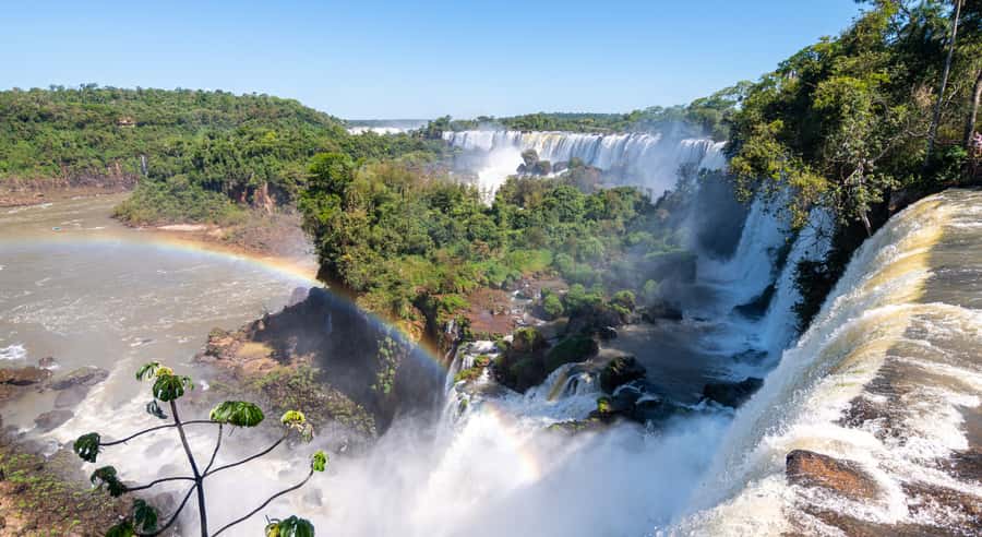 From Foz do Iguaçu: Argentinian Iguazu Falls with Ticket - The upper circuit for wide views
