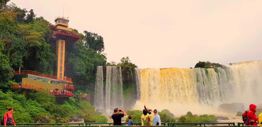 From Foz do Iguaçu: Brazilian Side of the Falls with Ticket - Shared group or private booking?