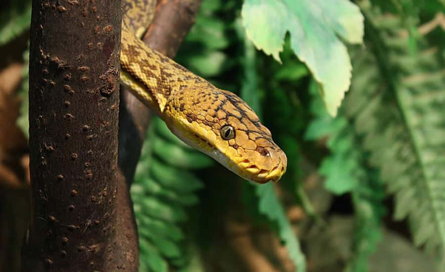From Iguazú: Explore natural diversity at the Biocenter - Is $33 a fair price?