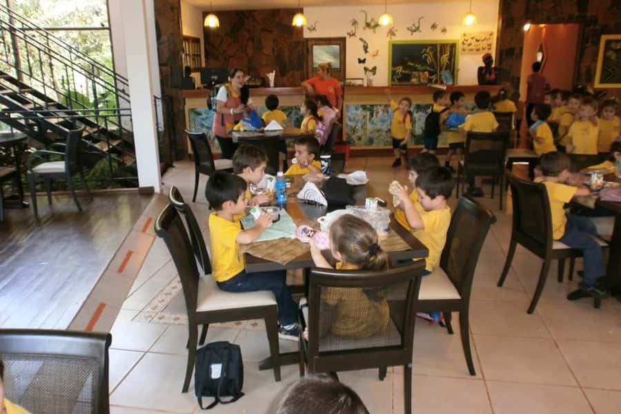 From Iguazú: Explore natural diversity at the Biocenter - Pickup from Puerto Iguazú and the Brazilian-side limitation