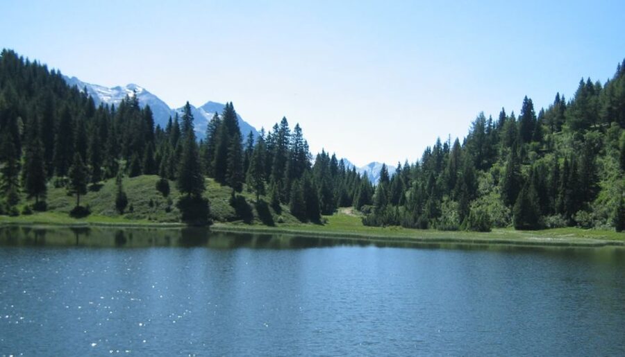 From Jujuy: Yala and Termas de Reyes Half-Day Tour - What the five-hour schedule gives you