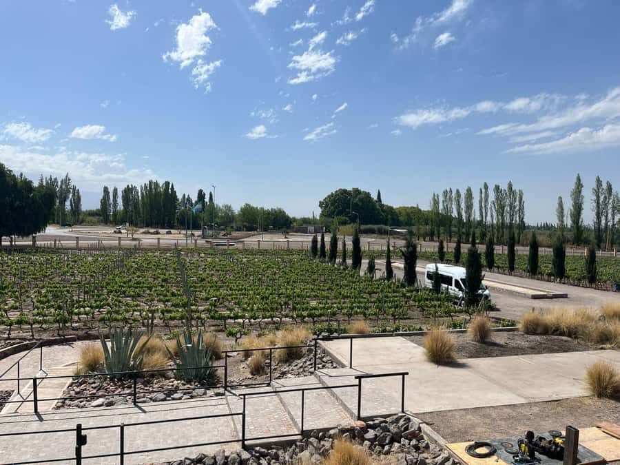 From Mendoza: 3 Wineries, Olive Oil Factory Tour & Tasting - First winery: seeing an artisanal side of Mendoza