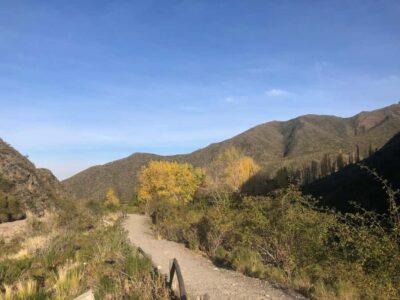 Andes High Mountain Full-Day Tour