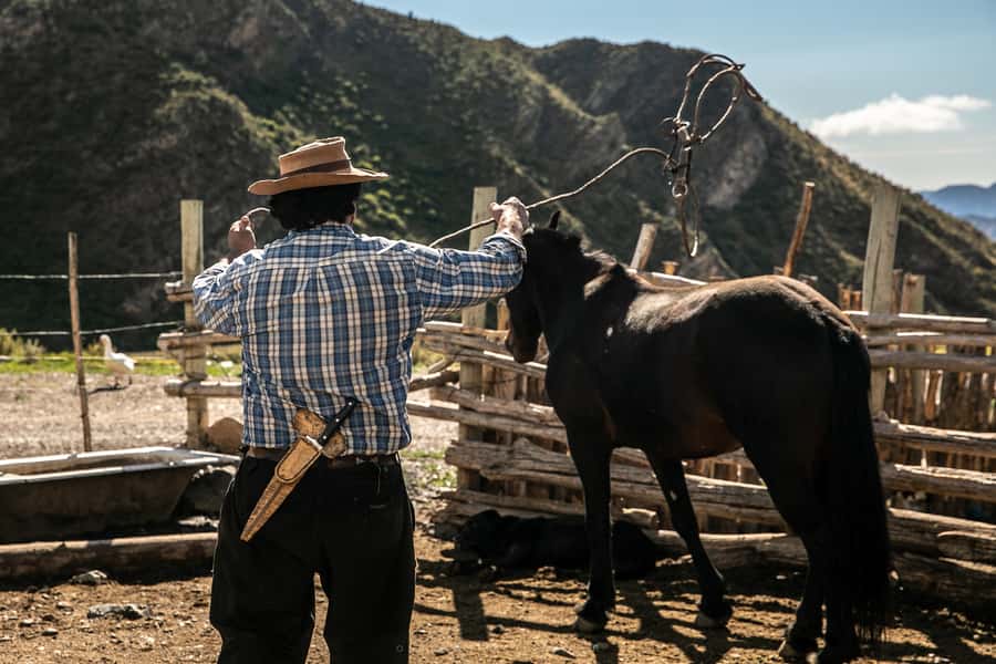 From Mendoza: Full Day Gaucho Experience - Nine hours is a full Mendoza day