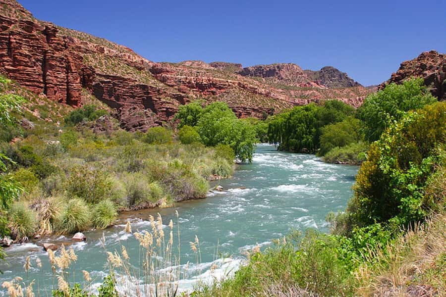 From Mendoza: San Rafael Sightseeing and Atuel Canyon Tour - Key points to know before booking